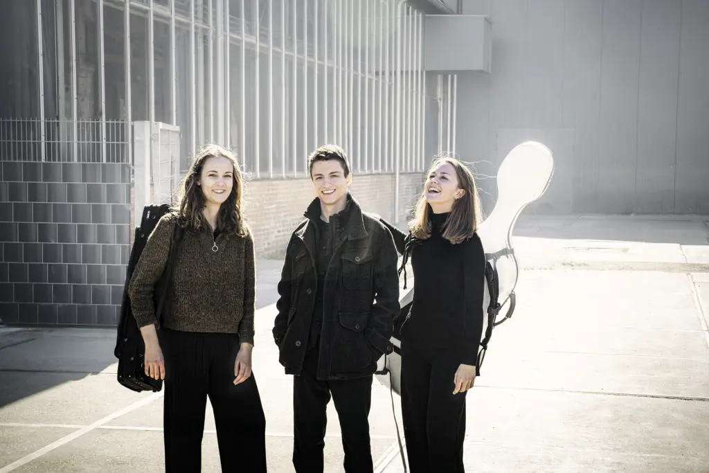 Amelio Trio (8) / © Irène Zandel