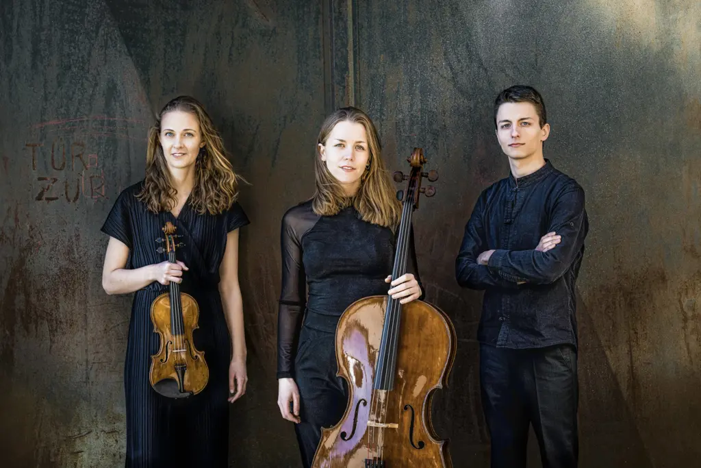 Amelio Trio (1) / Irène Zandel