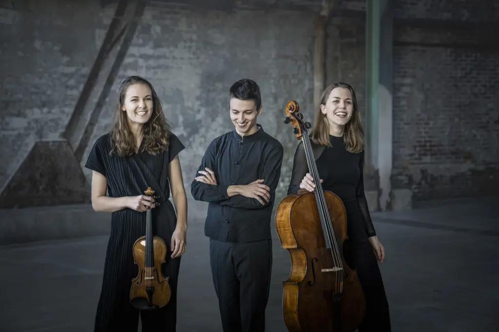 Amelio Trio (2) / © Irène Zandel