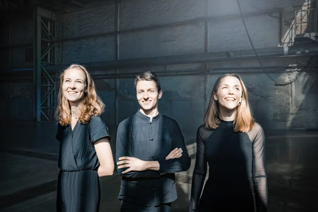 Amelio Trio (7) / © Irène Zandel