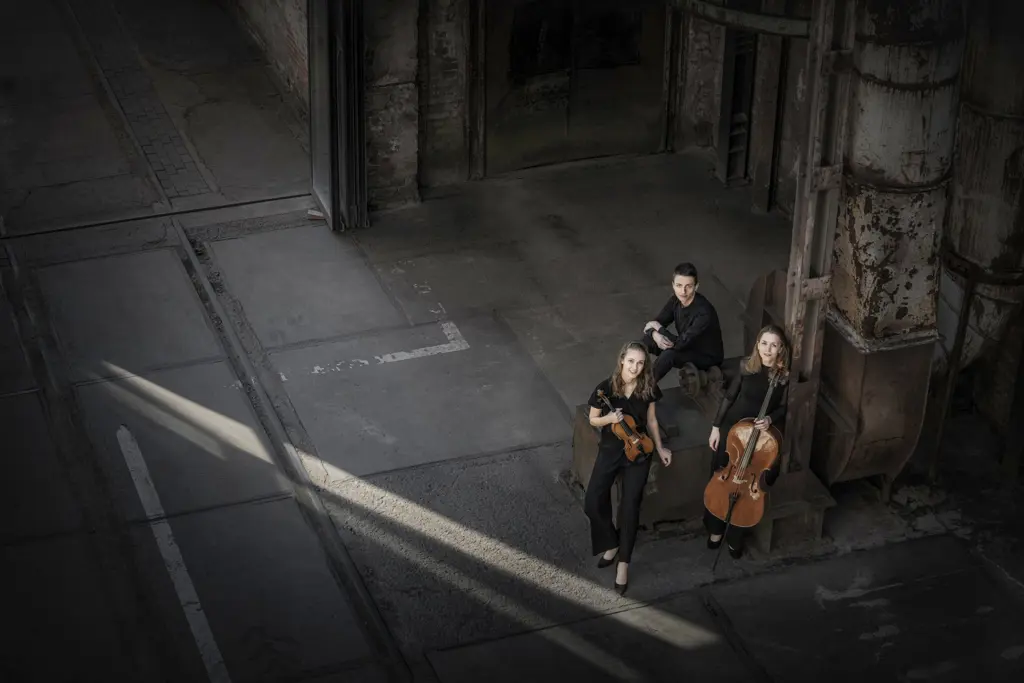 Amelio Trio (4) / © Irène Zandel