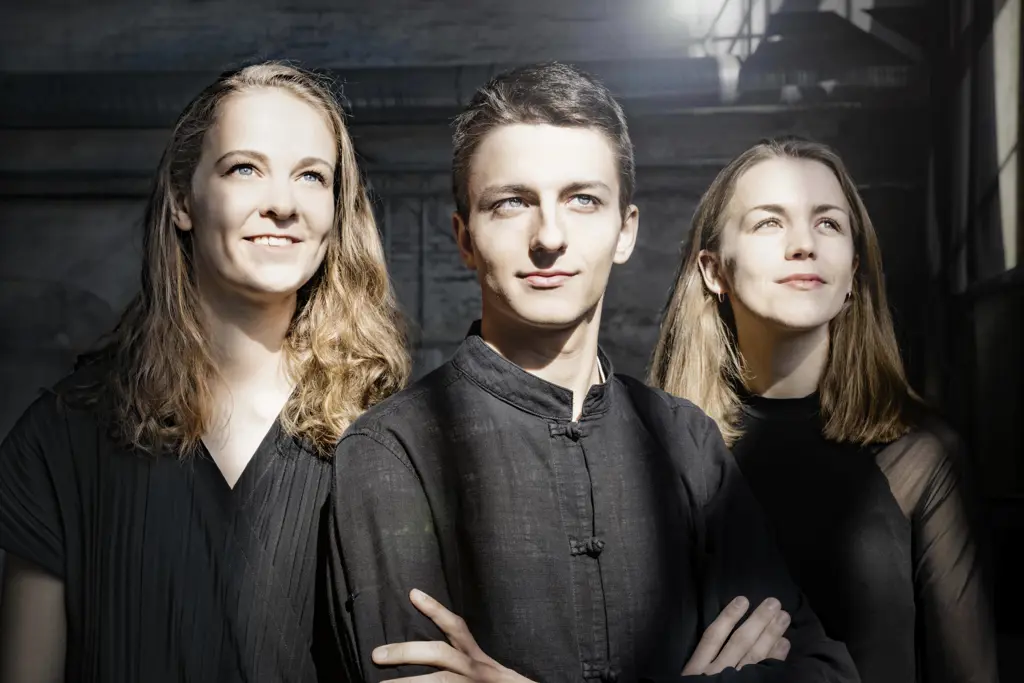 Amelio Trio (6) / © Irène Zandel