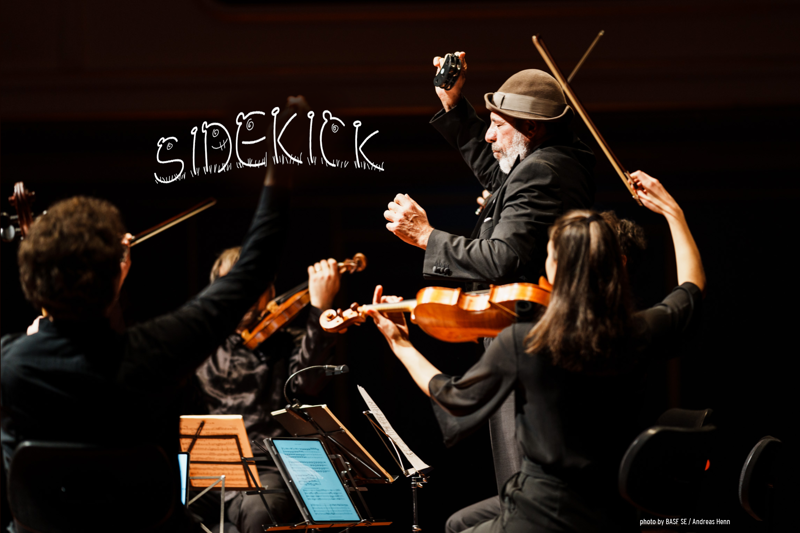 Sidekick Web schmal