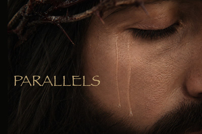 Parallels Web neu schmal