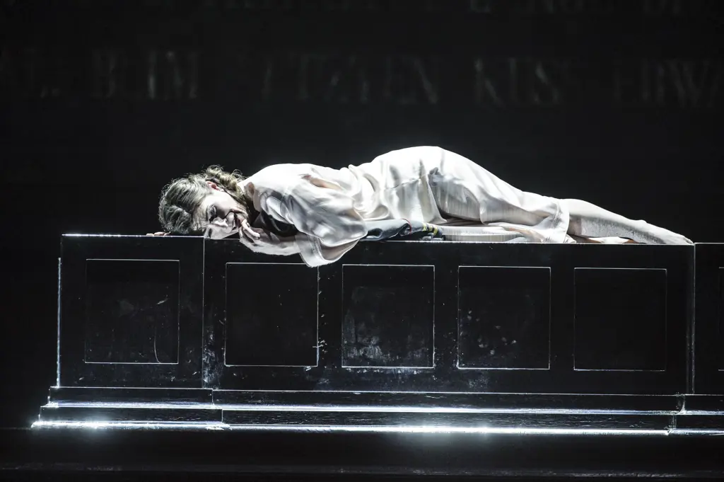 Otello_Erfurt-2014©LutzEdelhoff