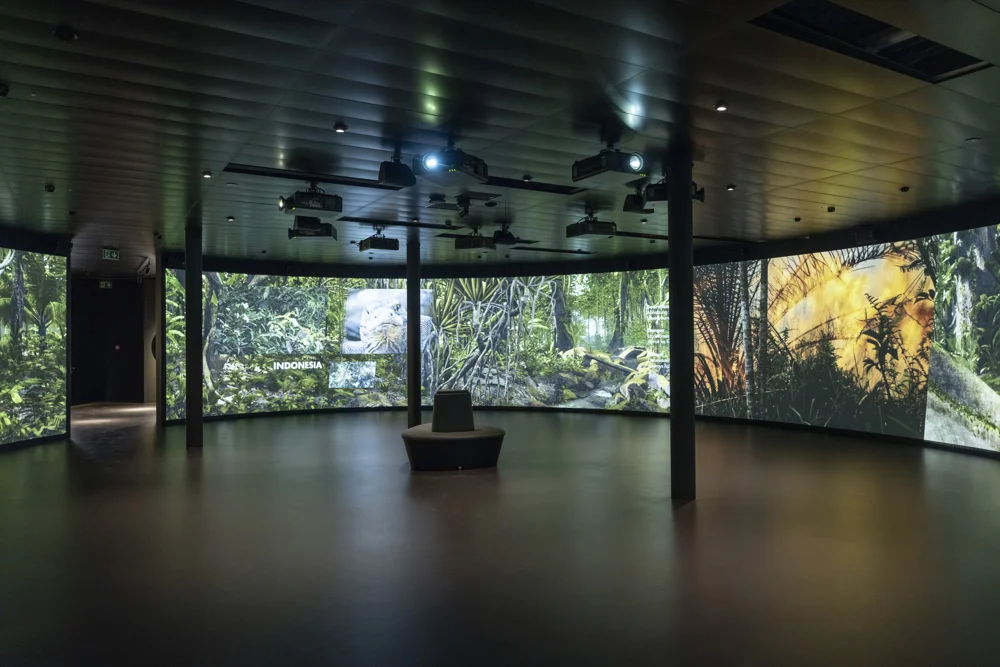 Save Masoala - Zoo Zurich