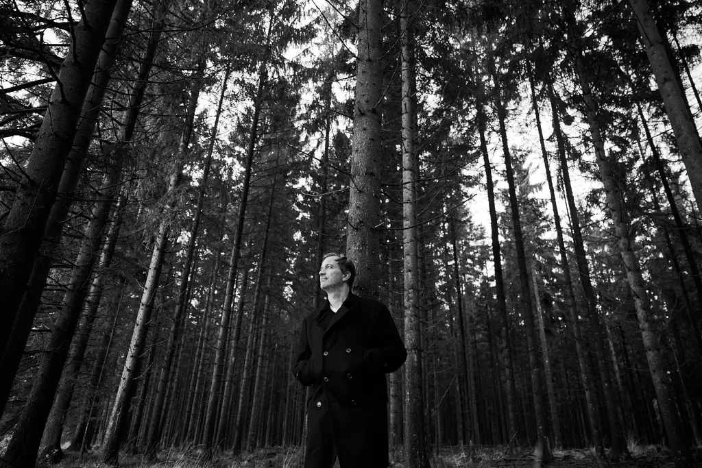 Joachim Hochbauer Wald 7