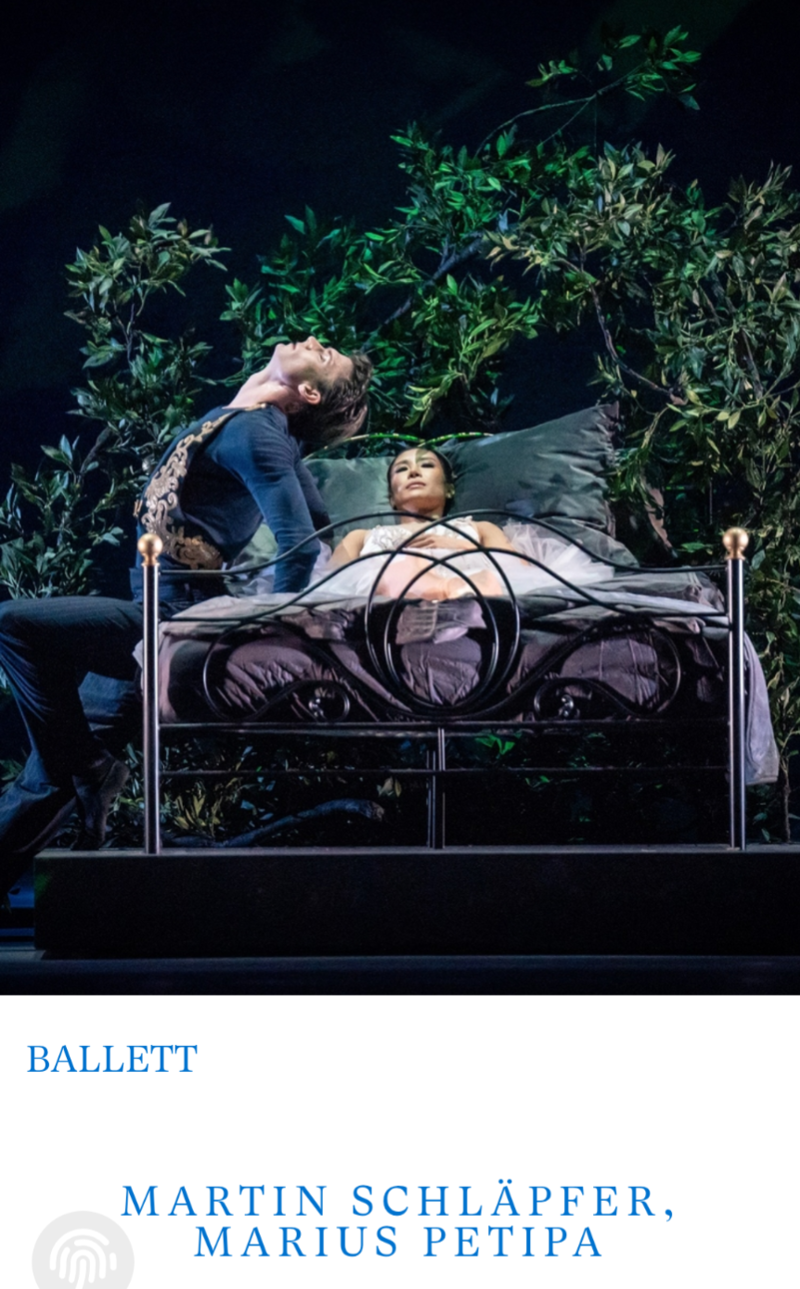 Dornroschen Wiener Staatsoper
