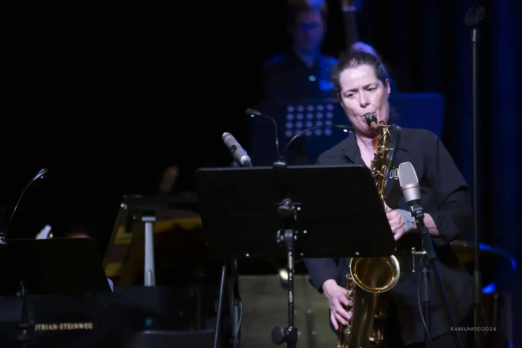 TimoKabel__0111_Raw_Bigband Freiberg_Prisma_FA