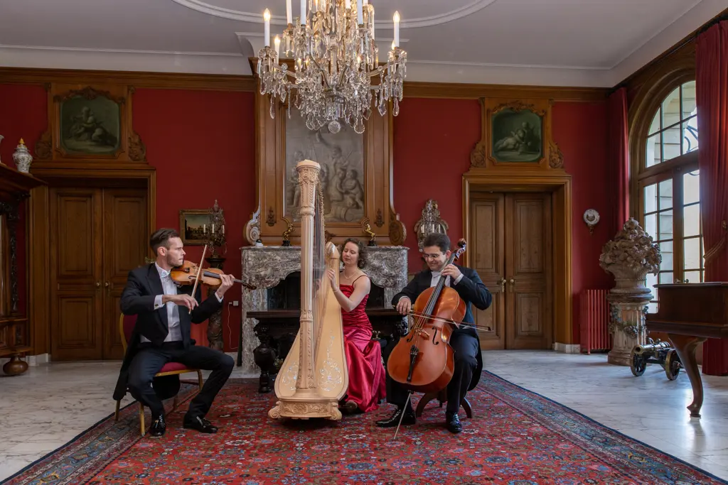 Das Neue Salontrio © René Knoop